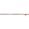 Bloodsport Bloodhunter Arrow 300 Spine 6 Pack- BLS-BLD123006,                 TEMPORARILY OUT OF STOCK