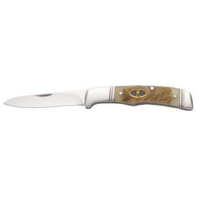 Browning Joint Venture 1 Blade Sheep Horn Folding Knife- 3220011,                       JUST ARRIVED IN STOCK NOW
