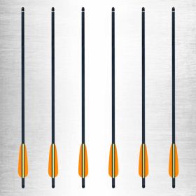 SA Sports 20 Inch Carbon Bolts 6 Pack  577,   **** IN STOCK NOW ****